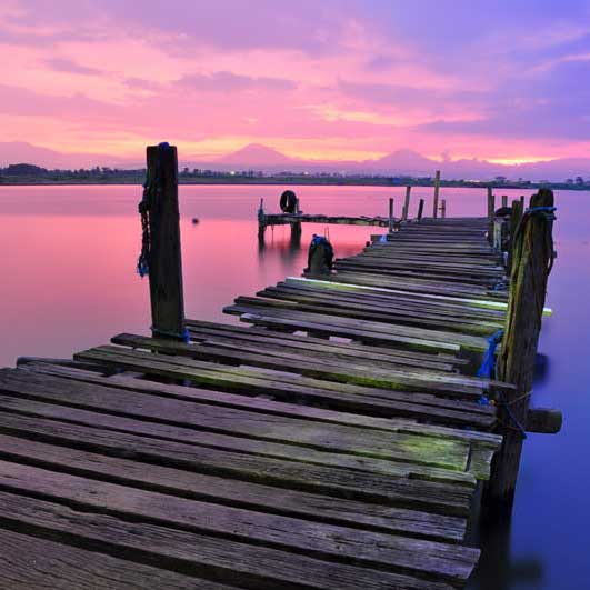 机器学习系统的在线网页使用电话轰炸机